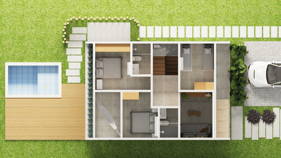 planta